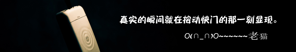 '博客